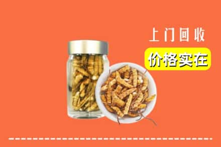 收购资讯:内江隆昌市回收散虫草