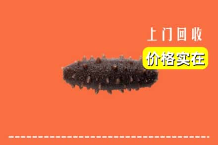 收购资讯:内江隆昌市回收海参
